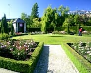 Logo for Trevor Griffiths Rose Garden