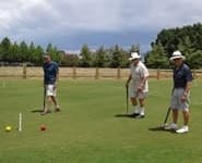Logo for Heretaunga Croquet Club