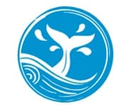 Logo for Whangaparaoa Kindergarten