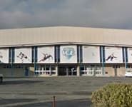Logo for Dunedin Ice Stadium
